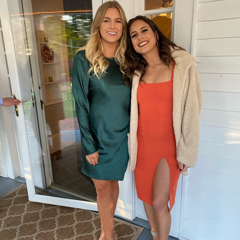 Aritzia Dress - Revolve skirt - Picture 3 of 3